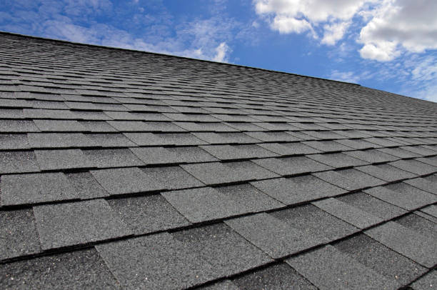 Best Roof Moss and Algae Removal  in Fairless Hills, PA